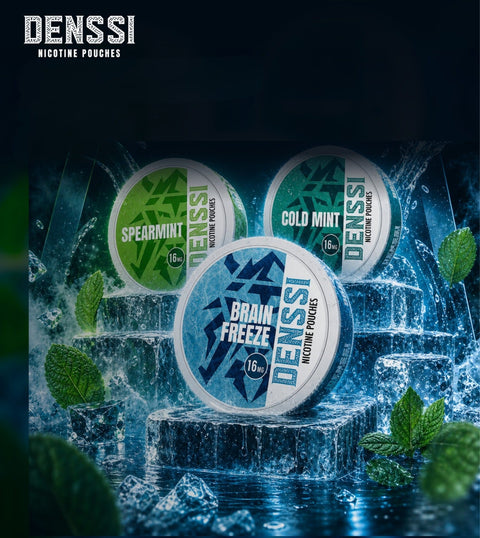 Denssi Flavour Guide: Which Pouch Should You Try?