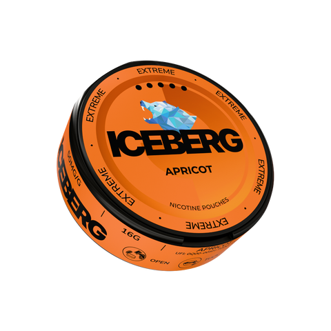 Iceberg Arasaka – nikotīna maisiņu kārba