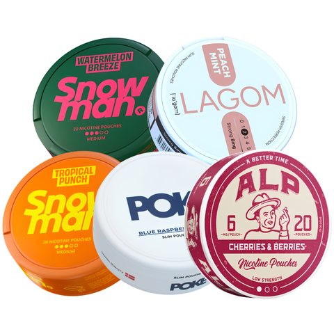Light Hit Mixpack – Nikotinbeutel Dose