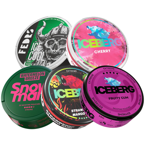 Bold &amp; Balanced Mixpack – nicotine pouches can
