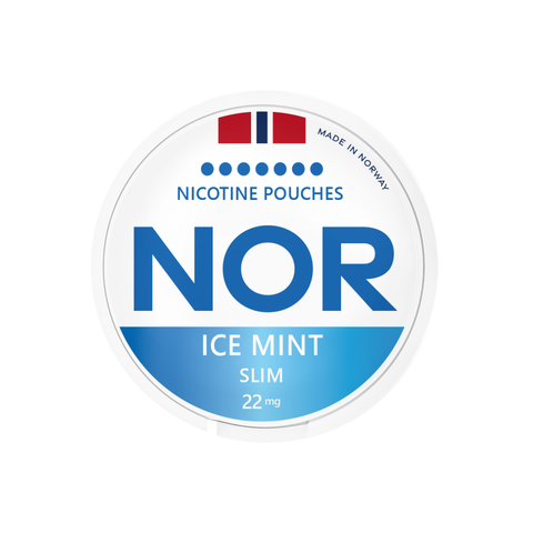 Nor Ice Mint – nikotino maišelių dėžutė