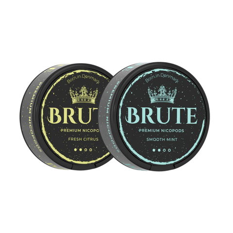 Brute Mixpack – nikotino maišelių dėžutė 2