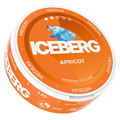 Iceberg Arasaka 20 mg – Nikotinbeutel Dose 2