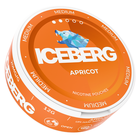 Iceberg Arasaka 20 mg – Nikotinbeutel Dose 2