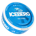 Iceberg cool mint 20mg – Nikotinbeutel Dose 2