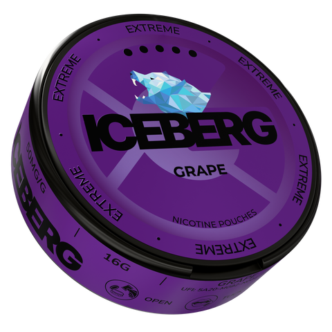 Iceberg Grape – Nikotinbeutel Dose 2