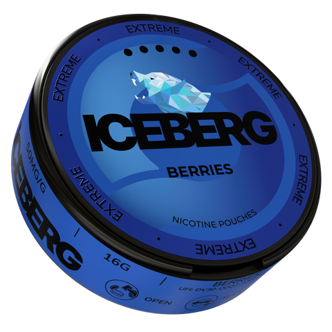 Iceberg Wild Berries – Nikotinbeutel Dose 2