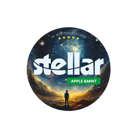 Stellar Berry Tsunami – cutie de pliculețe cu nicotină