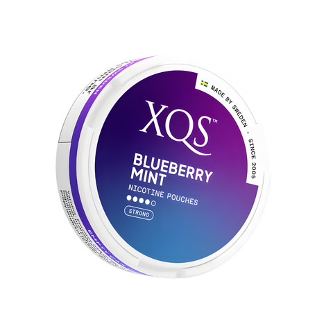 XQS Blueberry Mint Strong – Nikotinbeutel Dose